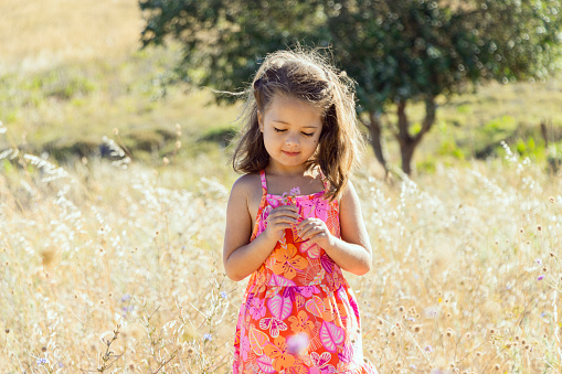 A 6 year old girl with blond hair is smelling some flowers in a country field. Photo taken on Lemnos island in Greece.