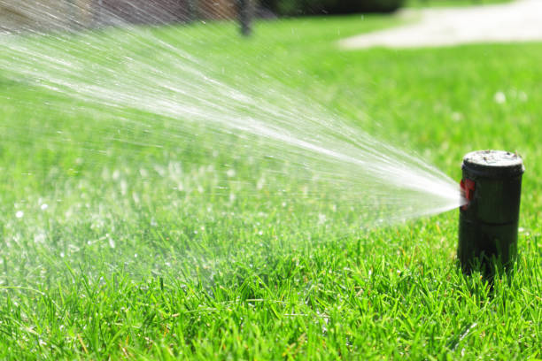 istock Garden irrigation system lawn. Automatic lawn sprinkler watering green grass. Selective focus. 1407171690