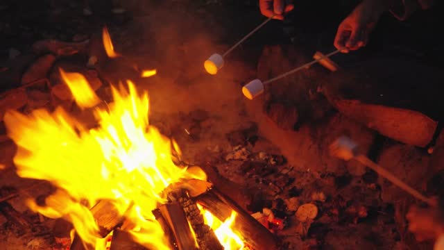 Family toasting marshmallows at campfire at night