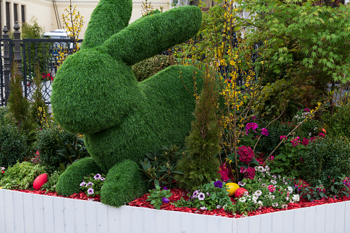 Easter bunny topiary. Large green rabbit shaped bush stands on flowerbed among flowers and colorful easter eggs. Selective focus. Easter city decoration theme.