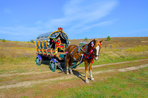 a horse with a brightly decorated wagon in a field