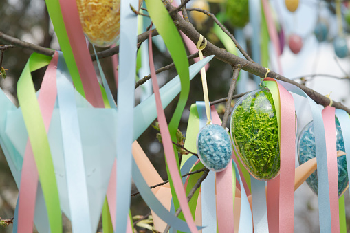 Multi colored ribbons and easter eggs decorations (transparent plastic eggs with colored paper inside) hangs on branches of tree. Selective focus. Easter holiday theme.