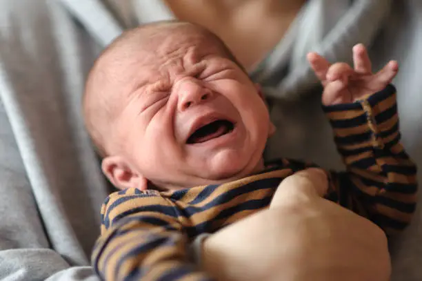 Sweet and cute small little newborn baby is hungry and upset and cry strongly inviting her parents to feed her and solve her problem. Stomach cramps