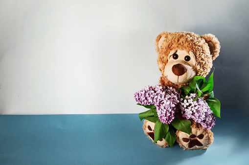 teddy bear with a bouquet of lilacs and copy space