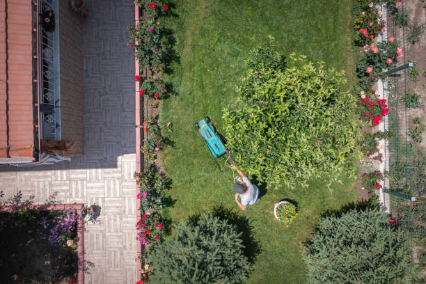 電気芝刈り機で裏庭で草を刈る女性の航空写真 - gardening single flower house flower ストックフォトと画像