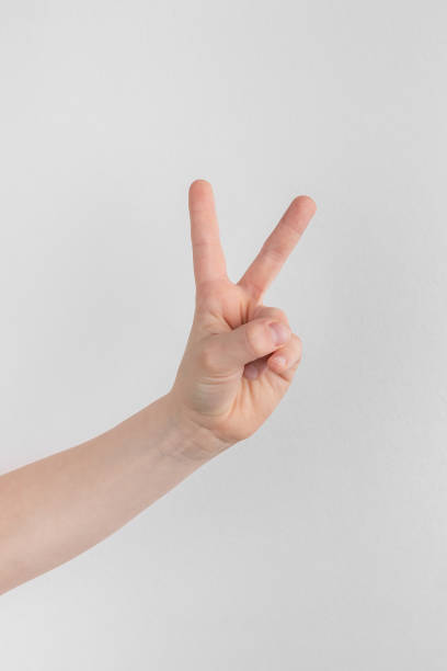 dziecięca ręka licząca i pokazująca dwa palce w górę na białym i szarym tle. gest pokoju lub zwycięstwo, znak v - peace sign counting child human finger zdjęcia i obrazy z banku zdjęć