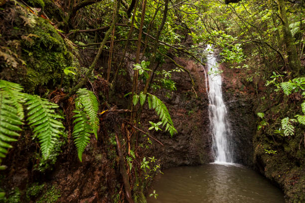 istock Waterfall pouring into the 