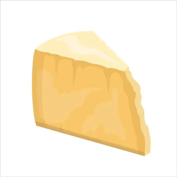 Vector illustration of Hard cheese parmesan or pecorino, vector illustration isolated on white background