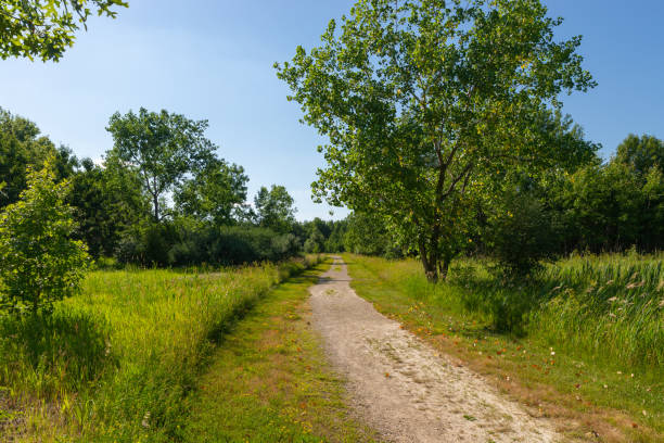 Trail through the park Trail through the park on a beautiful Summer afternoon.  Buffalo Rock State Park, Illinois, USA empty road with trees stock pictures, royalty-free photos & images