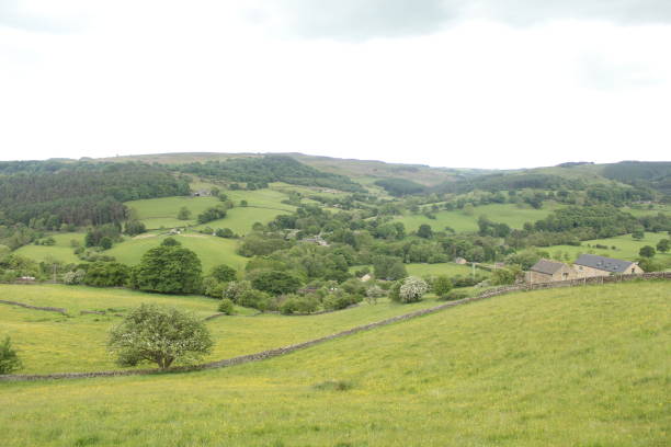 istock All green on Hills and with clouds 1407189412