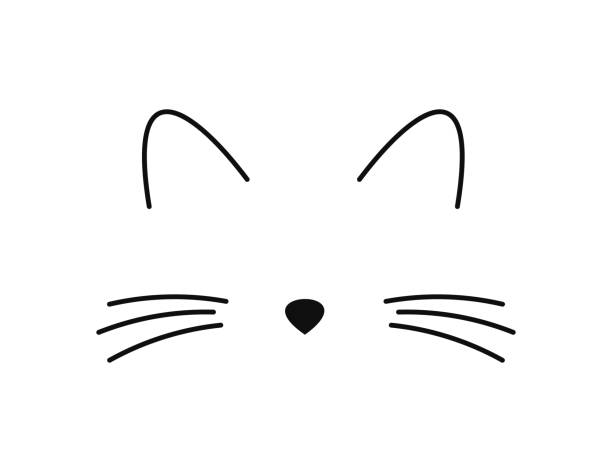 ilustraciones, imágenes clip art, dibujos animados e iconos de stock de linda cara de gato: bigotes, orejas e icono de la línea de la nariz. - whisker