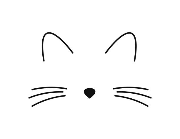 Cute cat face: whiskers, ears and nose line icon. Cute cat face: whiskers, ears and nose line icon. Vector cat illustration isolated on white background. whisker stock illustrations