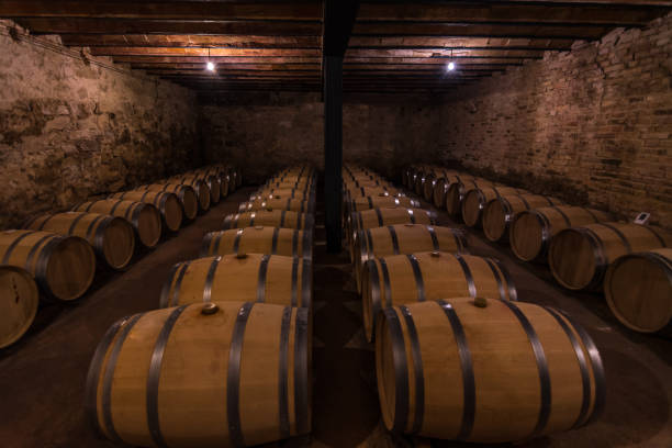 istock wine barrels lined up in a wine cellar 1407191812