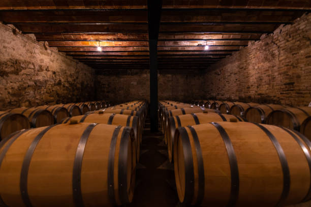 barriles de vino alineados en una bodega - winery wine cellar barrel fotografías e imágenes de stock