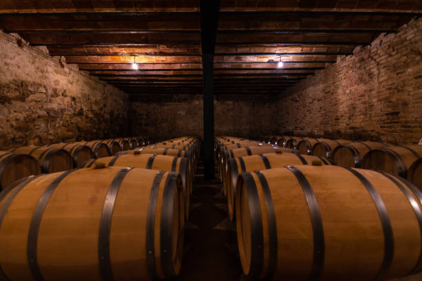 istock wine barrels lined up in a wine cellar 1407191829