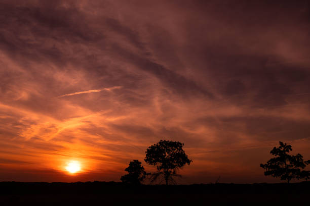 Sunset Horizon Over Savanna - Serpentine Trail, Maryland