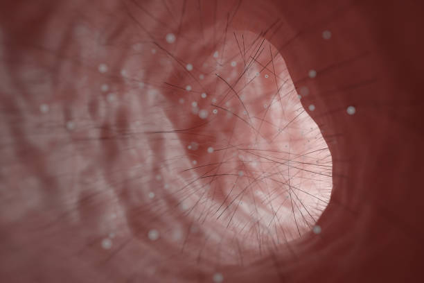 pm 2,5 staub die keime durch die nasenhöhle. covid-19-coronavirus-bakterien schädigen das immunsystem der lunge pandemie. - endokarditis stock-fotos und bilder