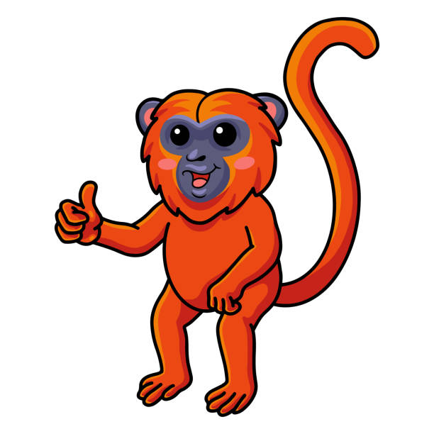 Cute red howler monkey cartoon giving thumb up Vector illustration of Cute red howler monkey cartoon giving thumb up howler monkey stock illustrations