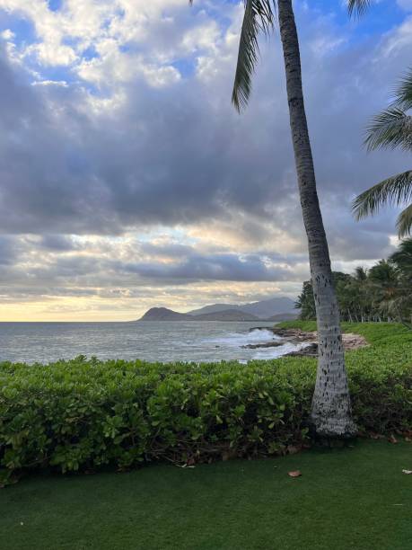 istock Relaxing in Oahu 1407213363