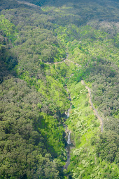 Waterfalls Among the Rainforest