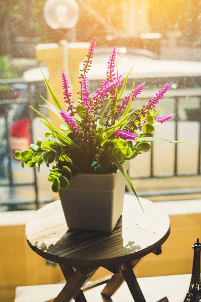 istock Colorful flowers in flower pot 1407215751