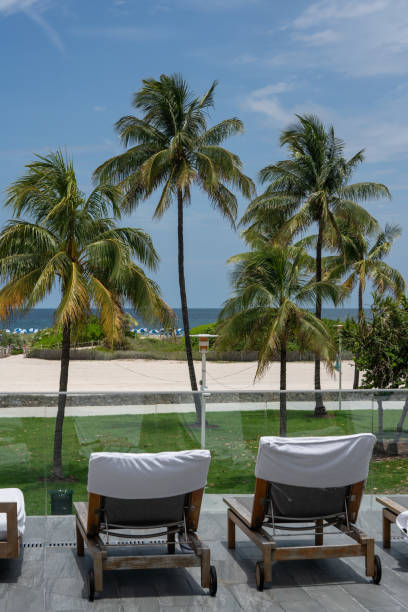 istock Beach chairs facing group of palm trees in South Beach. Miami 1407216323