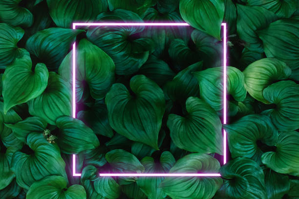 istock Abstract composition with green leaves and neon frame 1407217400