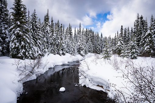 Winter scene with beautiful forest, river and cloud sky in a national park in Canada.