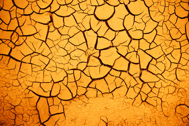 Dry cracked riverbed in Summer heat.