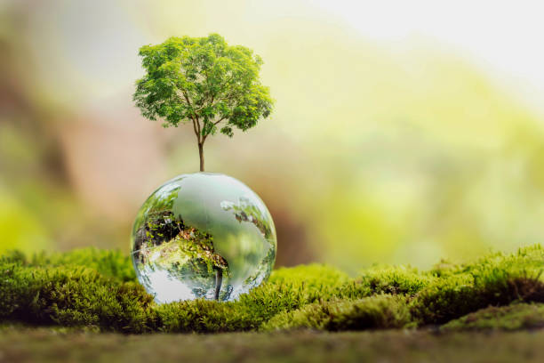 istock tree growth on globe glass in nature. concept eco earth day 1407221966