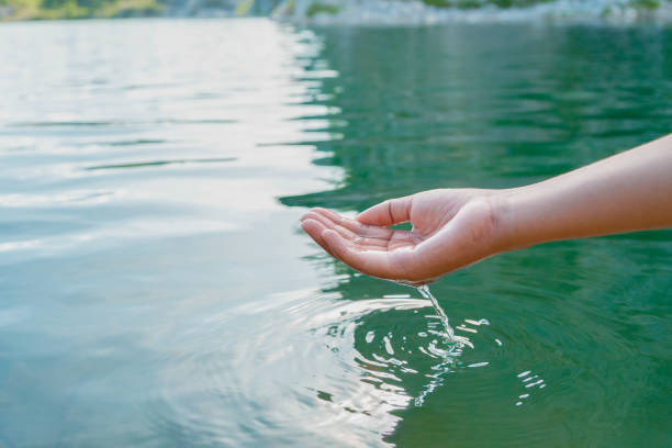 istock hand touches water in pond with sunshine 1407221967