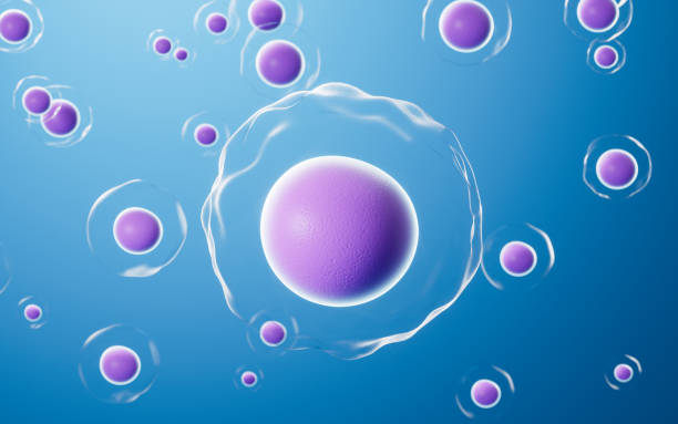istock Numerous dissociative purple cells, 3d rendering. 1407224983