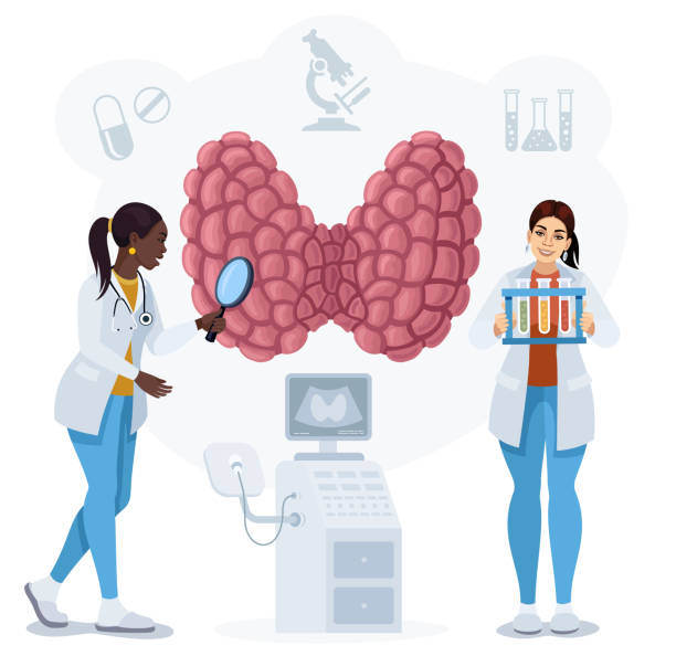 ilustrações de stock, clip art, desenhos animados e ícones de endocrinologists diagnose and treat thyroid gland. - ultrasound cancer healthcare and medicine thyroid gland