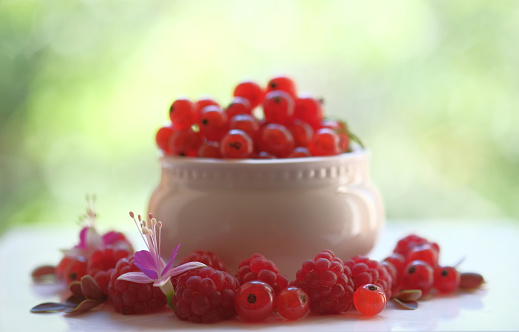 Red currants and raspberries. Small flowers. White dishes. Juicy red berries.