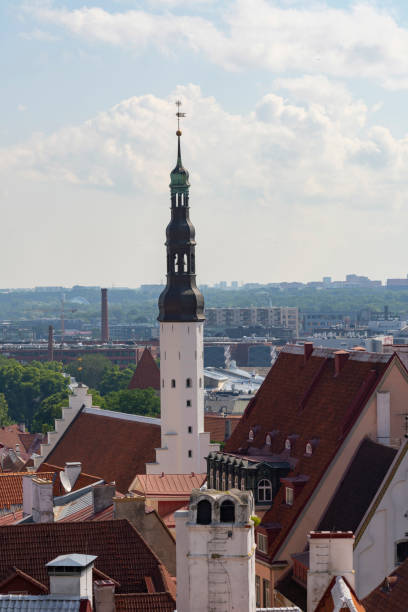 Tallinn, Estonia. July 2022.  view of the city from the Kohtuotsa viewing platform