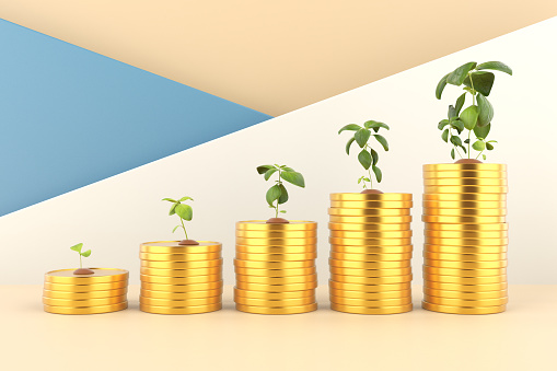 Money Growth Concept. Plants On Coins