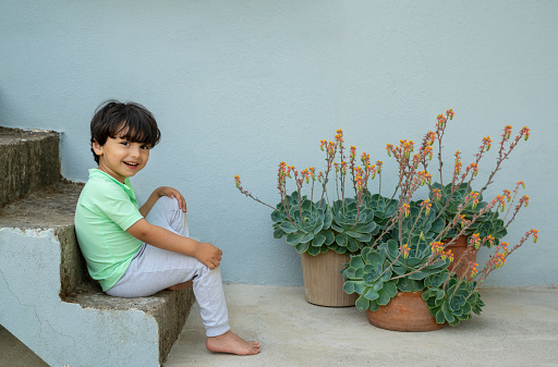 Portrait of a toddler boy with succulent plants at the backyard