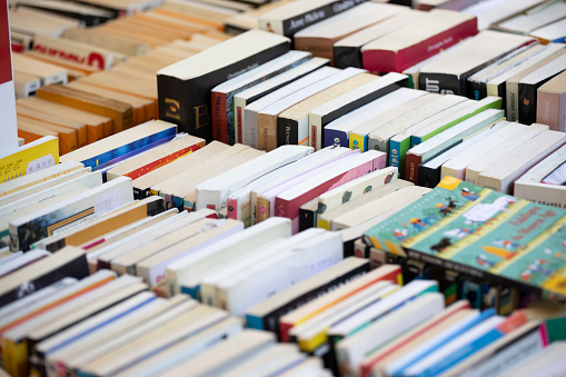 Girl choosing a book