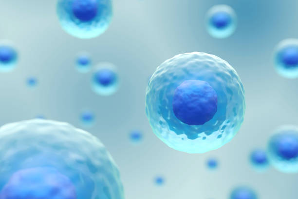 istock Cells membrane with nucleus are floating . Medical and science concept background . 3D render . 1407235525
