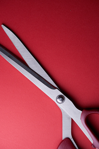 Kitchen scissors on a cutting board