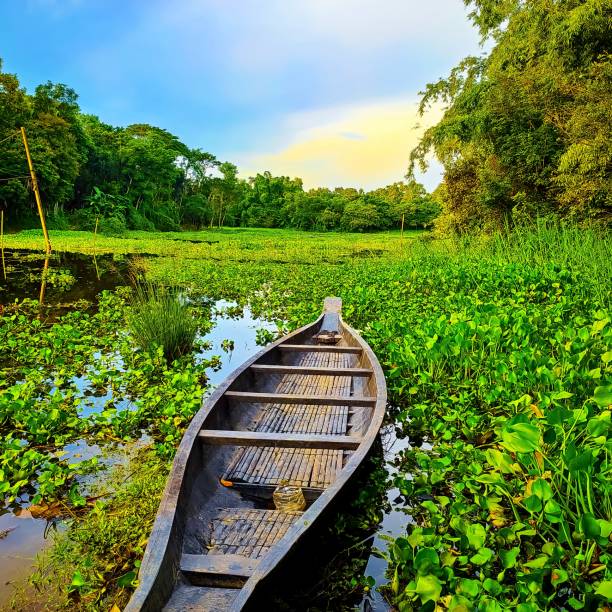 istock Boat in the lake. 1407241826