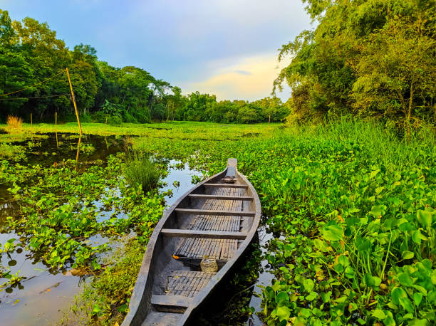 istock Fishing in the pond. 1407241855