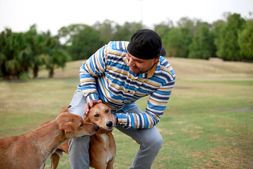 Pet owner playing with his young dog in public park outdoors, Delhi, India.