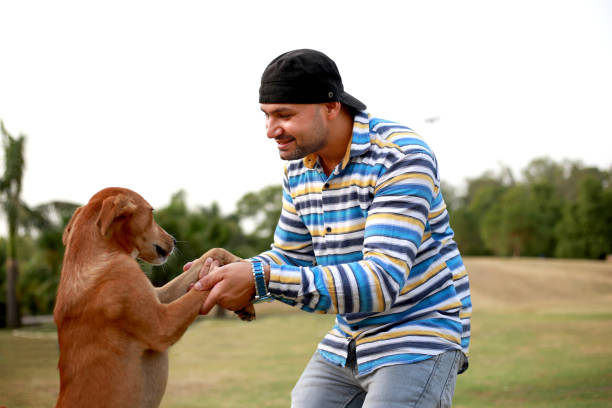istock Man playing with dog in park 1407241896