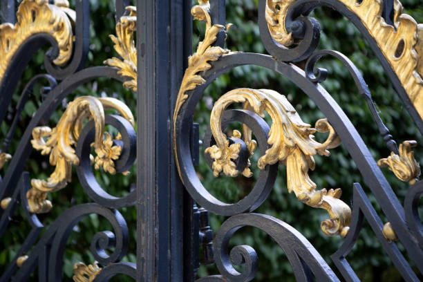 istock Ornate metal gate in Paris 1407242347