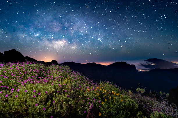 istock Amazing milkyway with blooming landscape 1407246967