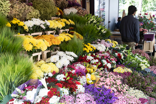 Boulder, Colorado - August 10th, 2019: Bouquets of fresh cut flowers on display at a farmers market in Boulder, Colorado