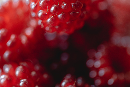 Macro Background Abstract Nature Theme: \nextreme close up of raspberries