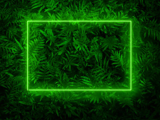 istock Fern leaves  with green neon lights. 1407257858