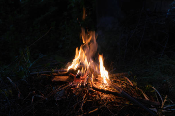 istock Fire at night in camp from wooden logs. 1407258858